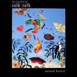 Talk Talk Natural History (The Very Best Of Talk Talk) Vinyl LP USED