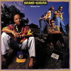 Brand Nubian Wake Up Vinyl 12" USED
