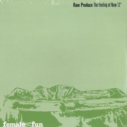 Raw Produce The Feeling Of Now Vinyl 12" USED