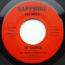 The Tenth Dymentions The Bushman Vinyl 7" USED