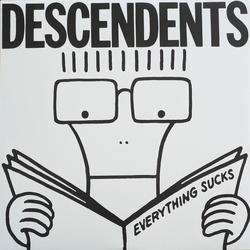 Descendents Everything Sucks Vinyl LP USED