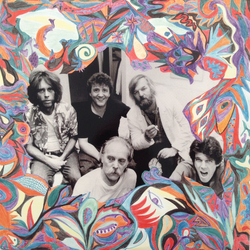 Moby Grape Legendary Grape Vinyl LP USED