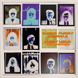Super Furry Animals Fuzzy Logic B-Sides And Besides Vinyl LP USED