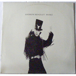 Andrew Ridgeley Shake Vinyl 12" USED