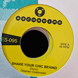 Stephen Colebrooke Shake Your Chic Behind Vinyl 7" USED