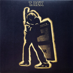T. Rex Electric Warrior Vinyl LP USED