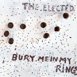 The Elected Bury Me In My Rings Vinyl LP USED