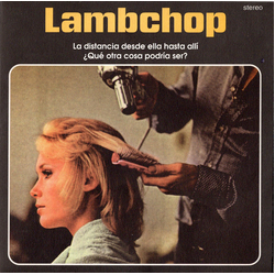Lambchop La Distancia Desde Ella Hasta Alli Vinyl 7" USED