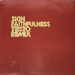 Skin Faithfulness (Tiesto Remix) Vinyl 12" USED