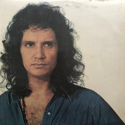 Roberto Carlos Roberto Carlos Vinyl LP USED