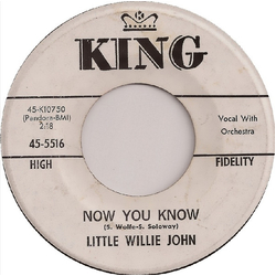 Little Willie John Take My Love (I Want To Give It All To You) / Now You Know Vinyl 7" USED