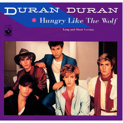 Duran Duran Hungry Like The Wolf Vinyl 7" USED