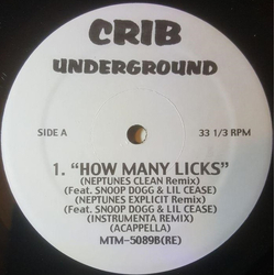 Lil' Kim / Changing Faces How Many Licks / Ladies Man Vinyl 12" USED