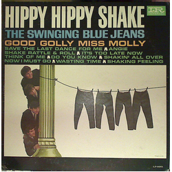 The Swinging Blue Jeans Hippy Hippy Shake Vinyl LP USED
