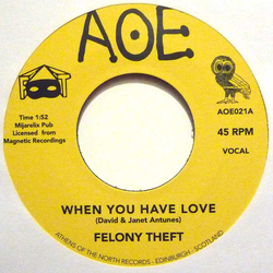 Felony Theft When You Have Love / Run For Cover Vinyl 7" USED