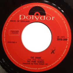 The Pink Fairies The Snake Vinyl 7" USED