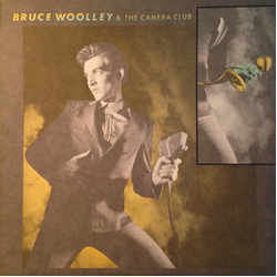 Bruce Woolley And The Camera Club Bruce Woolley & The Camera Club Vinyl LP USED