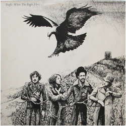 Traffic When The Eagle Flies Vinyl LP USED