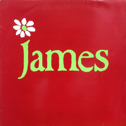 James How Was It For You? Vinyl 12" USED