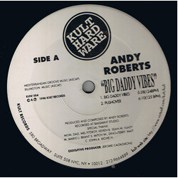 Andy Roberts Big Daddy Vibes USED VINYL 12INCH 33 S RPM