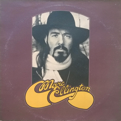 Marc Ellington Rains/Reins Of Changes Vinyl LP USED