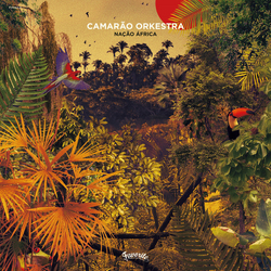 Camarão Orkestra Nação África Vinyl LP USED