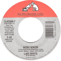 Lari White Now I Know Vinyl 7" USED