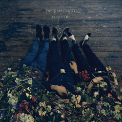 Trick Mammoth Floristry Vinyl LP USED