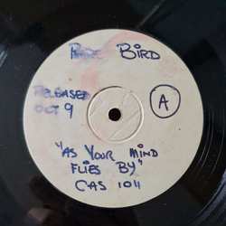 Rare Bird As Your Mind Flies By Vinyl LP USED
