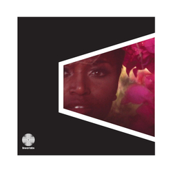 Adrian Younge / The Delfonics Adrian Younge Presents The Delfonics Vinyl LP USED