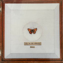 Farma G How To Kill a Butterfly Vinyl LP USED