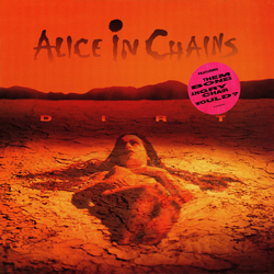 Alice In Chains Dirt Vinyl LP USED