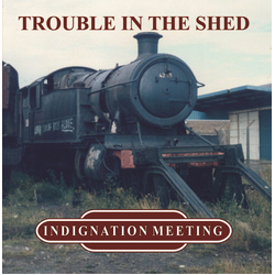 Indignation Meeting Trouble In The Shed Vinyl LP USED