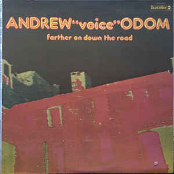 Andrew Odom Farther On Down The Road Vinyl LP USED