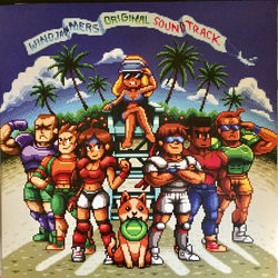 Gamadelic Windjammers Original Soundtrack Vinyl LP USED