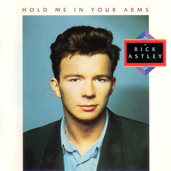 Rick Astley Hold Me In Your Arms Vinyl LP USED