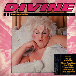 Divine The Story So Far... Vinyl LP USED