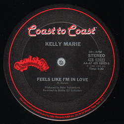 Kelly Marie Feels Like I'm In Love Vinyl 12" USED