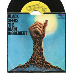 The Main Ingredient Black Seeds Keep On Growing Vinyl 7" USED
