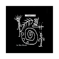 Rapoon In This World Multi Vinyl LP/CD/DVD Box Set USED