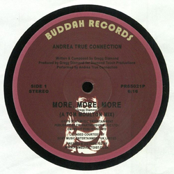 Andrea True Connection More, More, More / What's Your Name, What's Your Number Vinyl 12" USED