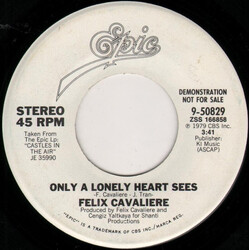 Felix Cavaliere Only A Lonely Heart Sees USED VINYL 7INCH 45 RPM PROMO STEREO