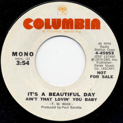 It's A Beautiful Day Ain't That Lovin' You Baby USED VINYL 7INCH 45 RPM SINGLE PROMO STEREO MONO