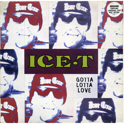 Ice-T Gotta Lotta Love USED VINYL 12INCH 33 S RPM SINGLE