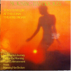 Tony Fenelon Morning Has Broken Vinyl LP USED