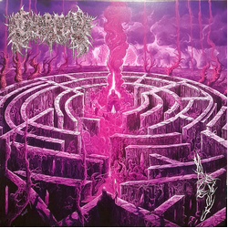 Civerous Maze Envy Vinyl LP USED
