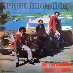 Gregory James Edition Ain't No Sunshine / Changing Things Vinyl 7" USED