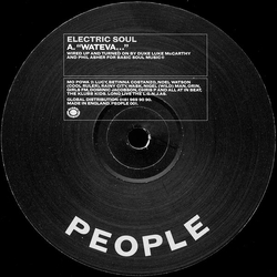 Electric Soul (2) Wateva... Vinyl 12" USED