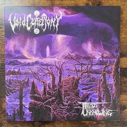 VoidCeremony Threads Of Unknowing Vinyl LP USED