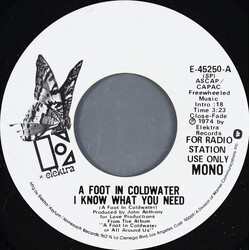 A Foot In Coldwater I Know What You Need USED VINYL 7INCH 45 RPM PROMO STEREO MONO